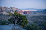 Red Rock Canyon and Las Vegas, NV