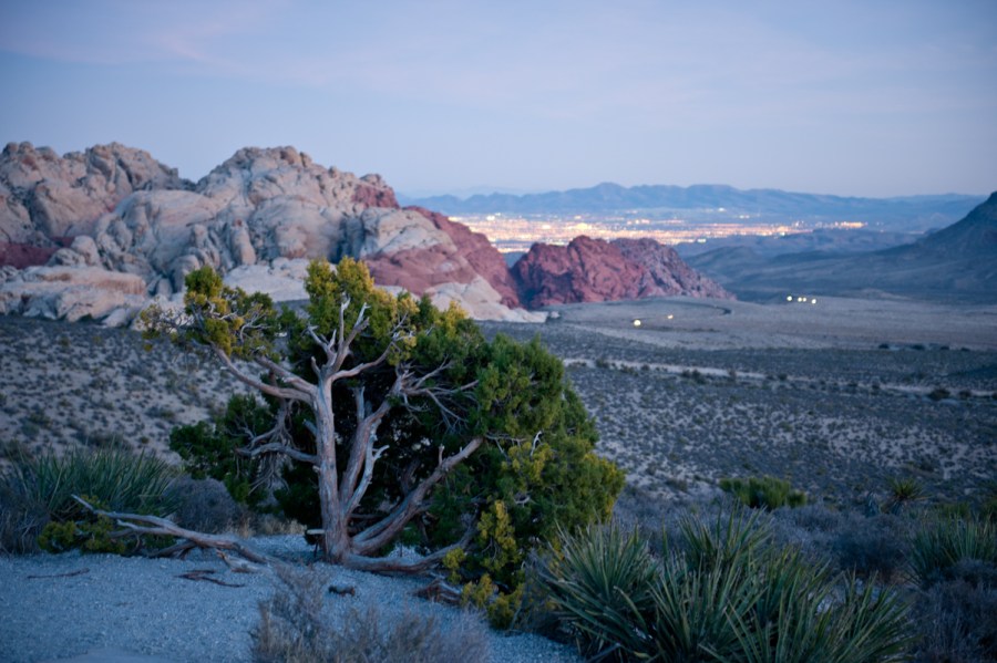 Red Rock Canyon and Las Vegas, NV