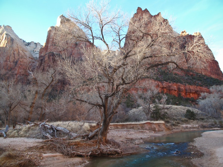 Zion National Park, UT
