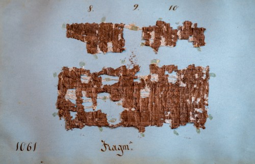 Papyri Collection, Biblioteca Nazionale di Napoli