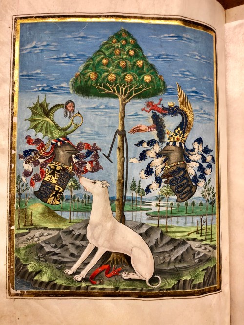 Codex De Sphaera-1469 Allegory