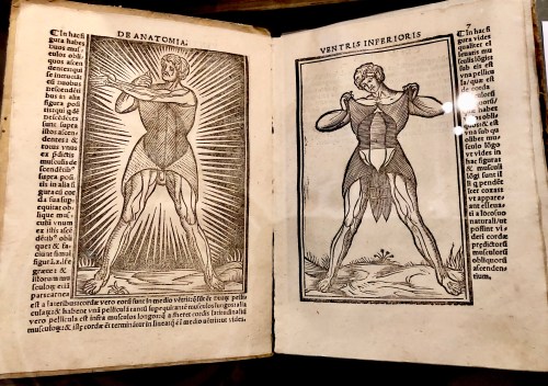 Text in Imola Library