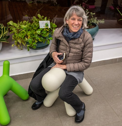 Public Library, Omer